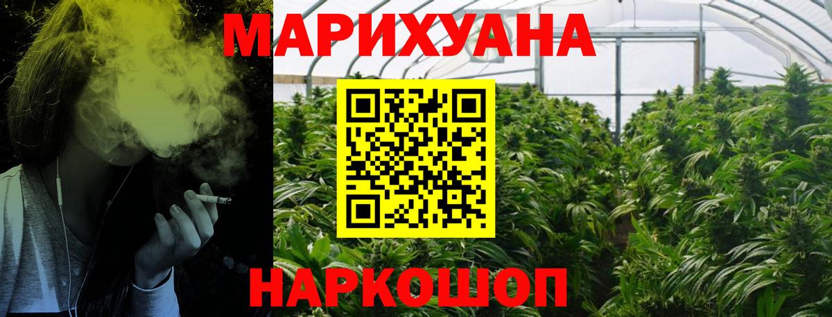 Бошки Шишки план Арзамас